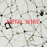 Metal Wire