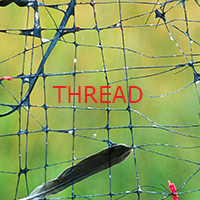 Thread